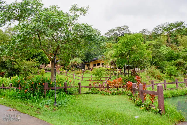mambukal lgu cottages mambukal lgu cottages