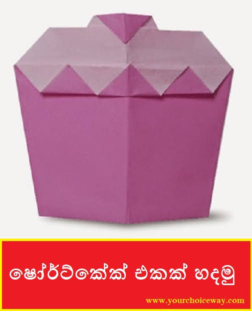 ෂෝර්ට්කේක් එකක් හදමු (Origami Shortcake) - Your Choice Way