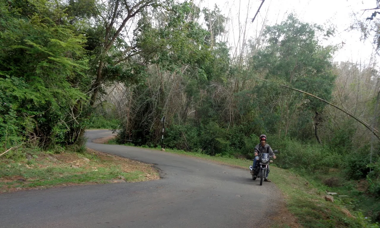 134) Bettamugilalam Aiyur Forest (7/8/2016)