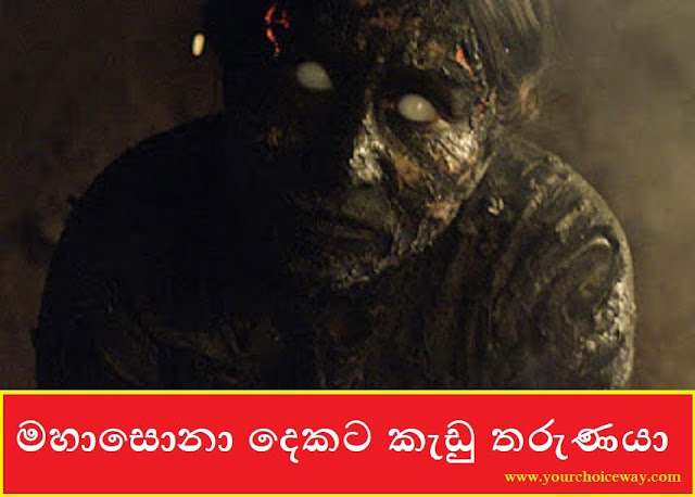 මහාසොනා දෙකට කැඩු තරුණයා (Mahasona) - Your Choice Way