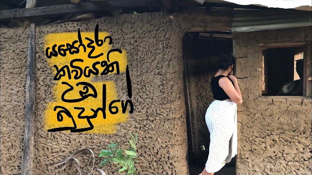 Yasodara Kaviyaki Umba Budunge Song Lyrics - යසෝදරා කවියකි උඹ බුදුන්ගේ ගීතයේ පද පෙළ