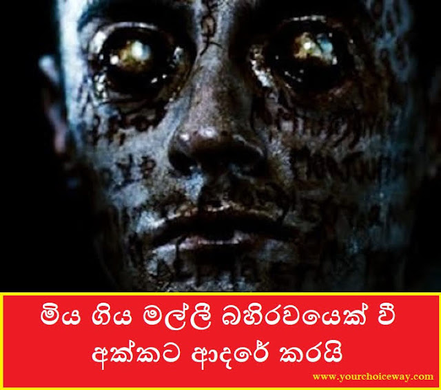 මිය ගිය මල්ලී බහිරවයෙක් වී අක්කට ආදරේ කරයි (Brother) - Your Choice Way