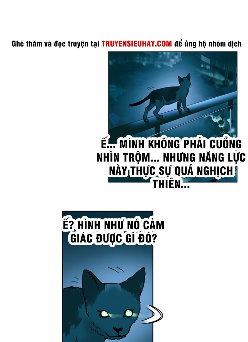 Đọc truyện tranh tại truyenmh.com