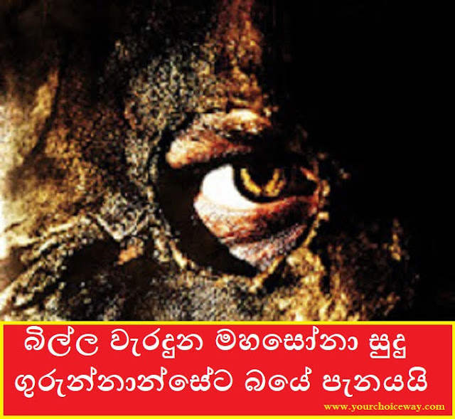 බිල්ල වැරදුන මහසෝනා සුදු ගුරුන්නාන්සේට බයේ පැනයයි (Sudu Gurunwahanse) - Your Choice Way