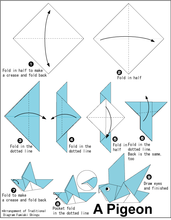 පරවියාව හදමු (Origami Pigeon) - Your Choice Way