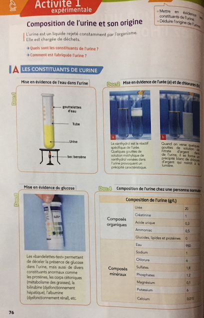 l'excrétion urinaire cours 3ac pdf