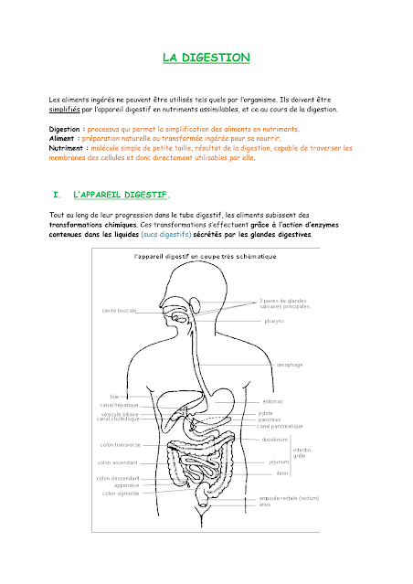 cours la digestion 3ac 3ac svt maroc
