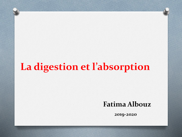 cours La digestion et l’absorption 3ac svt maroc