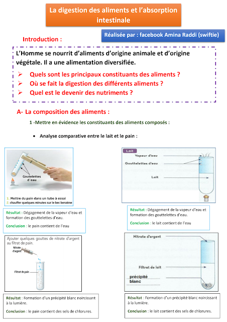 La digestion des aliments et l’absorption intestinale 3eme annee college exercices cours 3ac svt