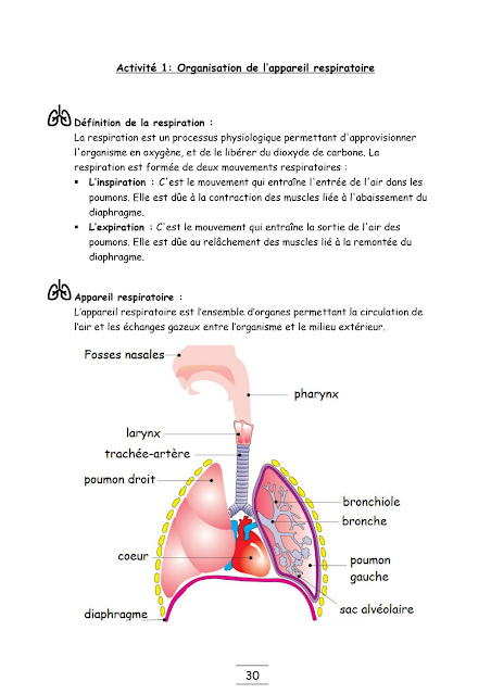 Organisation de l’appareil respiratoire SVT 3ème Année Collège 3AC pdf