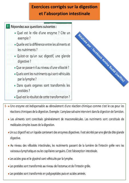 Exercices corrigés sur la digestion et l’absorption intestinale 3eme annee college 3ac svt