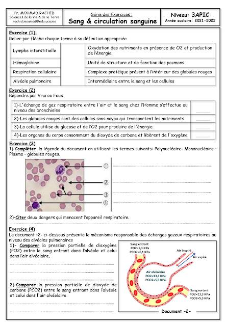 exercices sur le sang et la circulation sanguine 3ac apic svt pdf