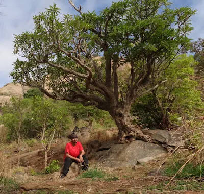 Sippy the solo hiker who goes to kabbaladurga solo every year on this birthday