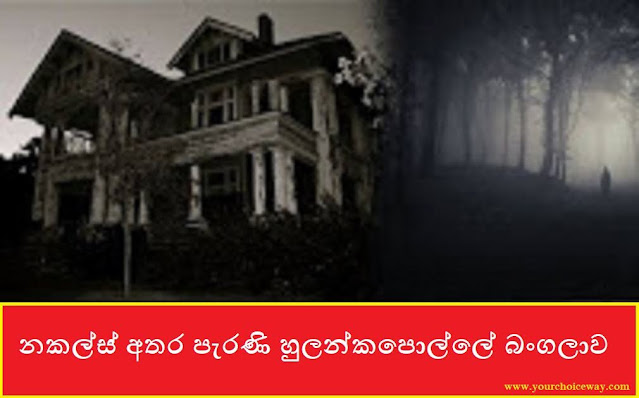 නකල්ස් අතර පැරණි හුලන්කපොල්ලේ බංගලාව (Bungalow) - Your Choice Way