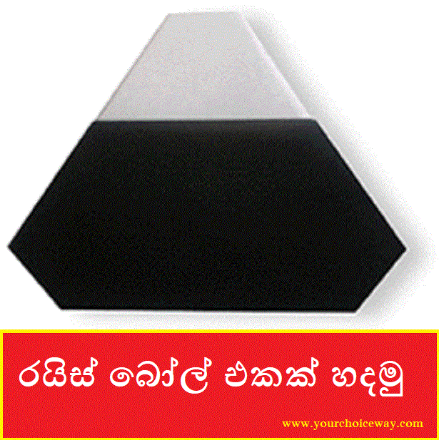 රයිස් බෝල් එකක් හදමු (Origami Rice Ball) - Your Choice Way