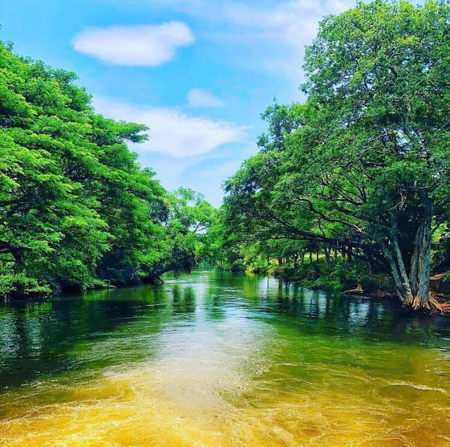 අග්‍රබෝ රජුගේ ගැඹුරින් වැඩිම - ගිරිතලේ වැව 🌿☘️🎋 (Girithale Lake) - Your Choice Way