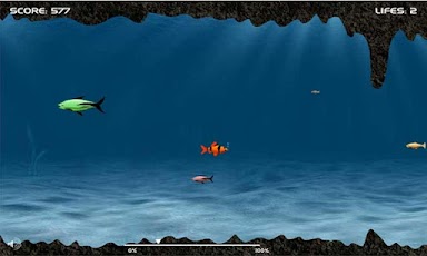 Feeding Frenzy Feeding Frenzy