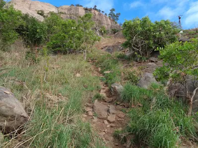 The viper stretch of kabbaladurga seen in semi-green form was a beauty as always