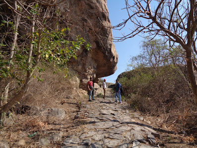 the loapers navigating the initial route of the trek at rayakottai