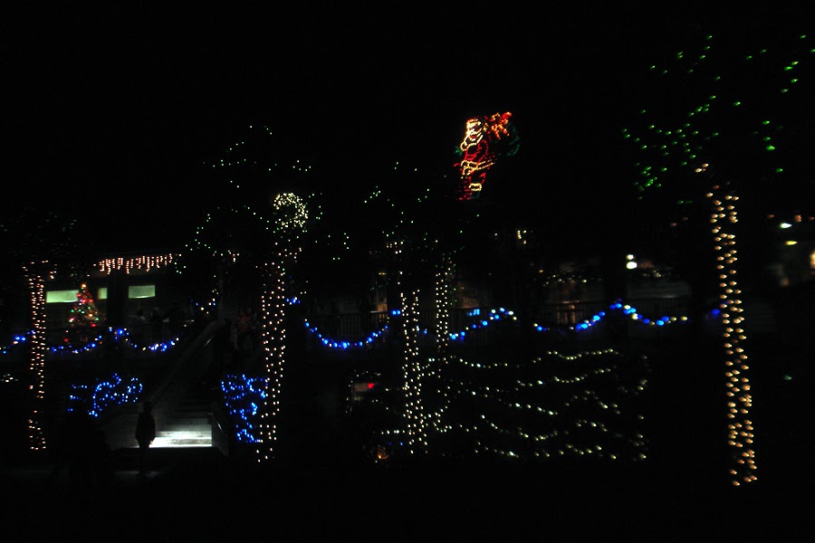 Alice's Silver Years James Island Country Park Christmas Lights