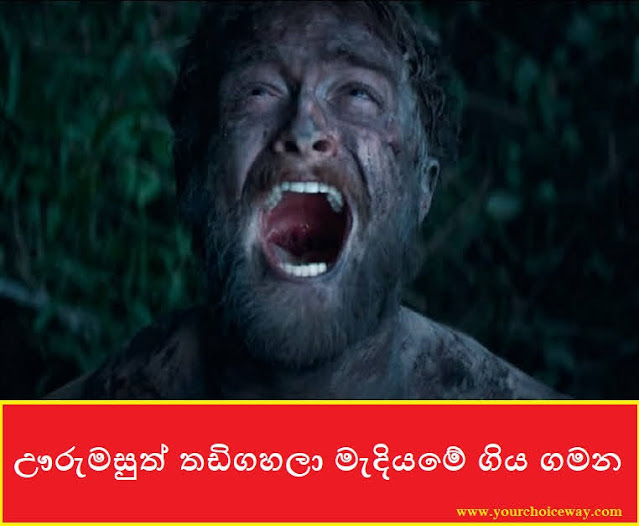 ඌරුමසුත් තඩිගහලා මැදියමේ ගිය ගමන (Sirimal) - Your Choice Way