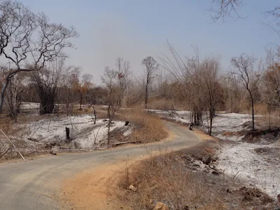 Bettamugilalam was was completely charred to ash