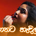 Sudu Nuba Ganata Dan Hadila Song Lyrics - සුදූ නුඹ ගානට දැන් හැදිලා ගීතයේ පද පෙළ