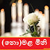 (නො)මළ මිනි (Death Body)