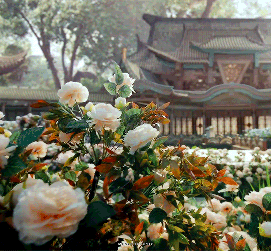 #who rules the world from movielosophy