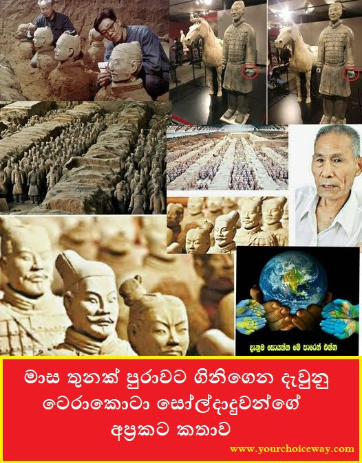 මාස තුනක් පුරාවට ගිනිගෙන දැවුනු ටෙරාකොටා සෝල්දාදුවන්ගේ අප්‍රකට කතාව (Terracotta Soldiers) - Your Choice Way