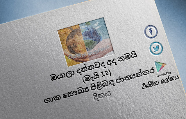 දවසේ වැදගත්කම - මැයි 12 ශාක සෞඛ්‍ය පිළිබඳ ජාත්‍යන්තර දිනය (Significance Of The Day - May 12 International Day Of Plant Health) - Your Choice Way