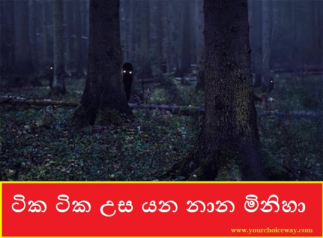 ටික ටික උස යන නාන මිනිහා (Nana Miniha) - Your Choice Way