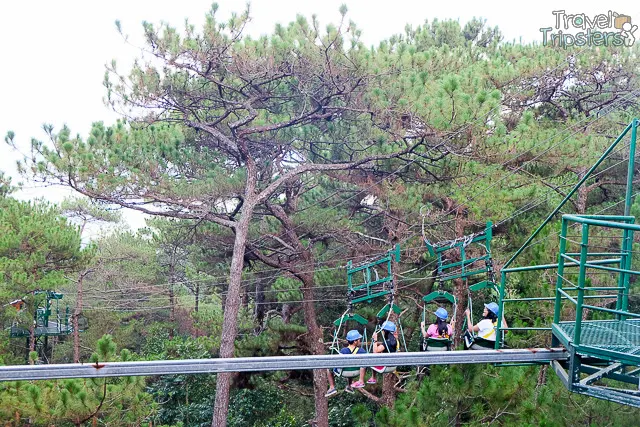 tree top adventure baguio