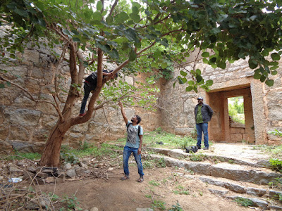 hikers having fun in the ancient passages of ratnagiri trek