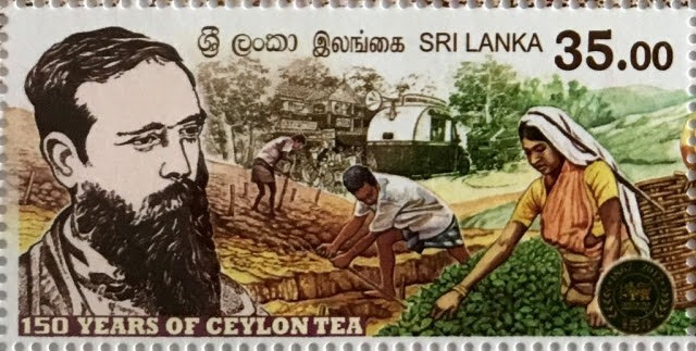 දවසේ වැදගත්කම - මැයි 21 ජාත්‍යන්තර තේ දිනය (Significance Of The Day - May 21 International Tea Day) - Your Choice Way