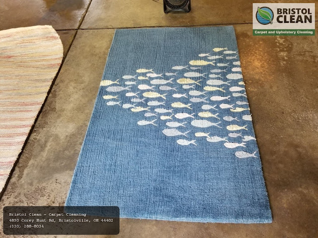 Area Rug Cleaning Garrettsville OH | Low Cost Rug Scrubber