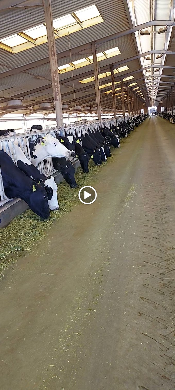 Industrial Area, Saudi Arabia - Google Maps