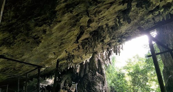 Miri I Niah National Park