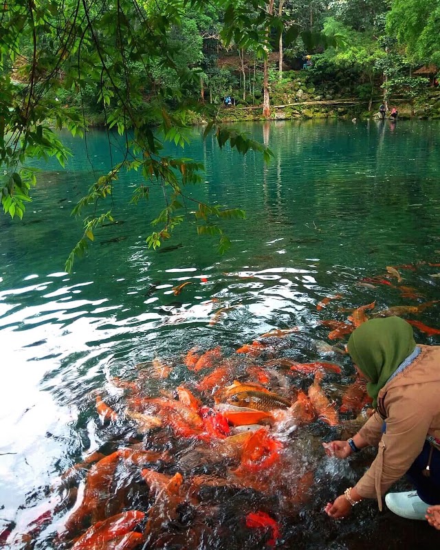 Temukan Lokasi Wisata Dalam Satu Peta ! 