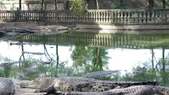 Rekomendasi tempat liburan menarik bersama keluarga di Bekasi