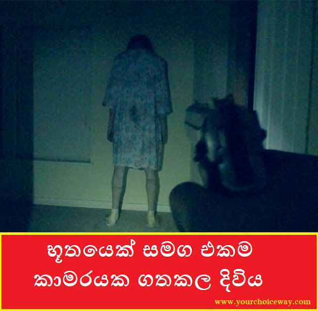 භූතයෙක් සමග එකම කාමරයක ගතකල දිවිය (Horror) - Your Choice Way