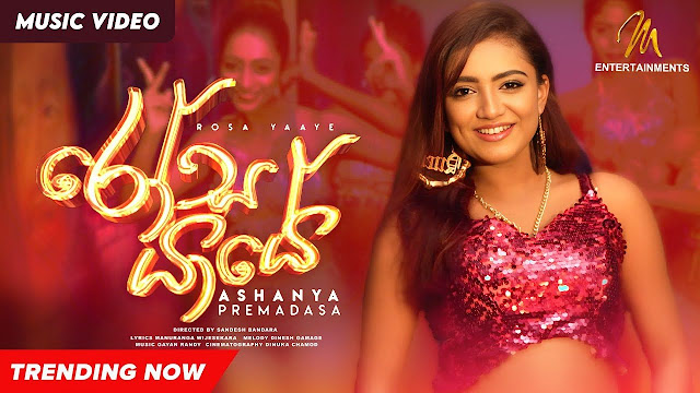 Rosa Yaaye Song Lyrics - රෝස යායේ ගීතයේ පද පෙළ