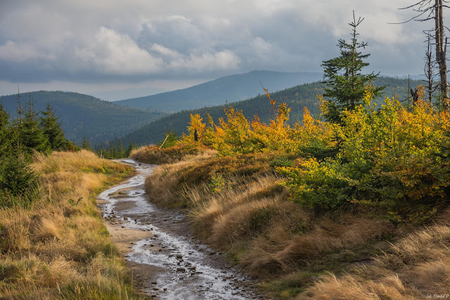 Jesienny Beskid Śląski i Żywiecki z plecakiem (1): Trzy Kopce Wiślańskie, Barania Góra i Chatka Pietraszonka