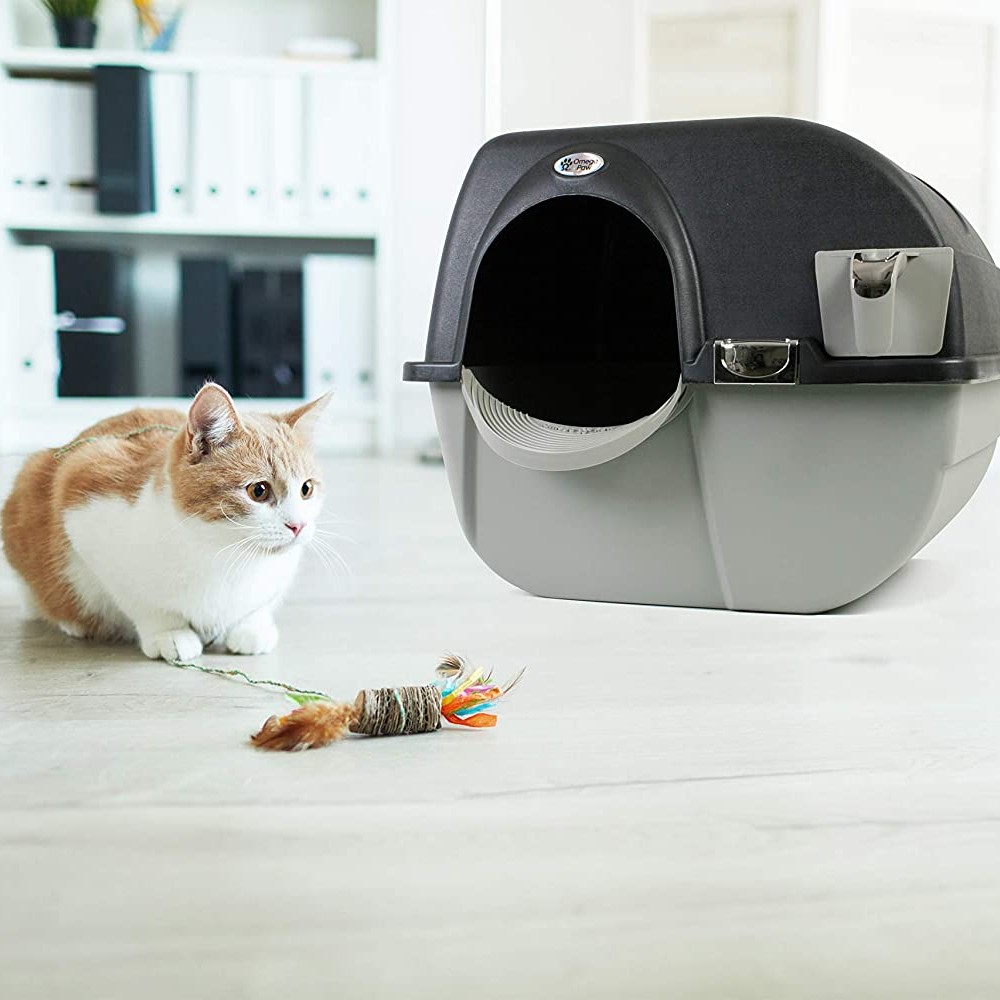 Top 5 the best automatic litter box
