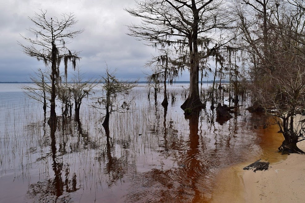 Waterfall Hero Hikes Lake Waccamaw State Park