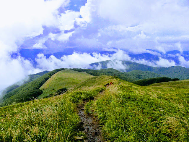 Bieszczady: Połonina Wetlińska - Smerek 