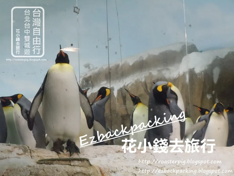 台北動物園必看10種動物+遊記