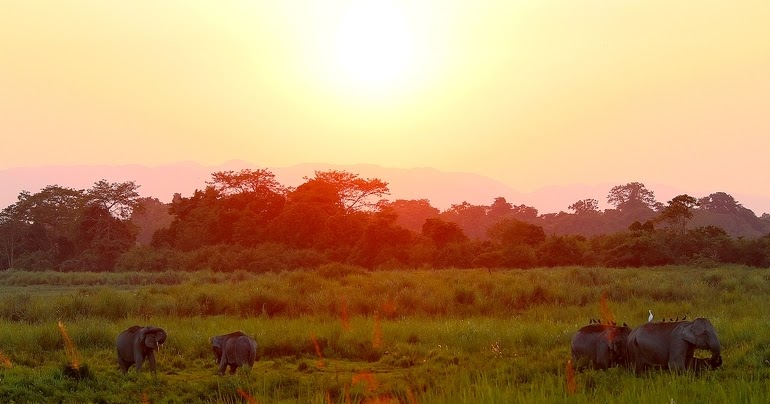 At The Feet Of The Giants
