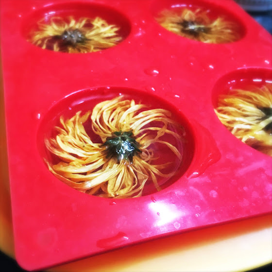 Chrysanthemum Flower Tea Jelly 菊花茶凍 Chinese Recipes at