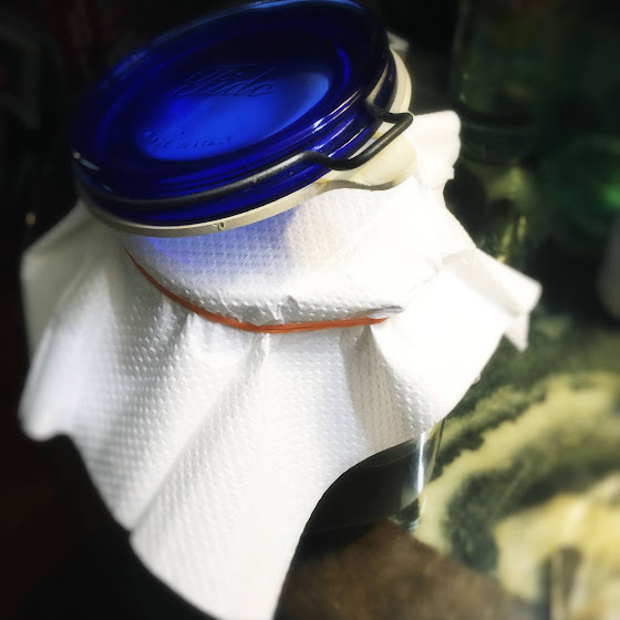 homemade, how to make, scoby, kombucha, fermented drinks, fermented tea